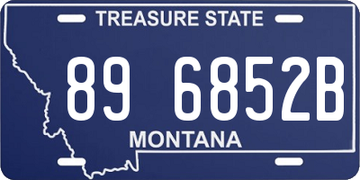 MT license plate 896852B