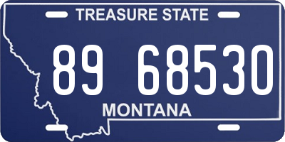 MT license plate 896853O