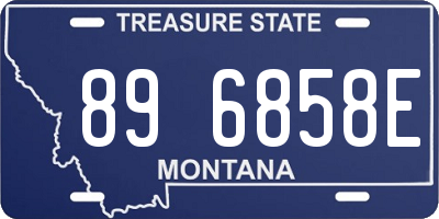 MT license plate 896858E