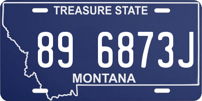 MT license plate 896873J