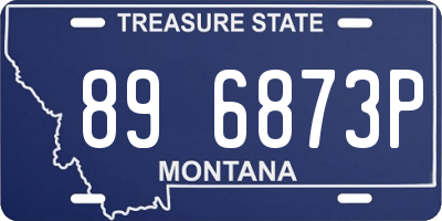 MT license plate 896873P