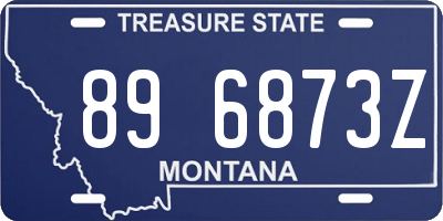 MT license plate 896873Z