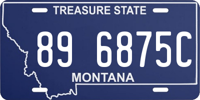 MT license plate 896875C