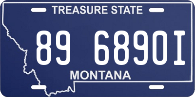 MT license plate 896890I