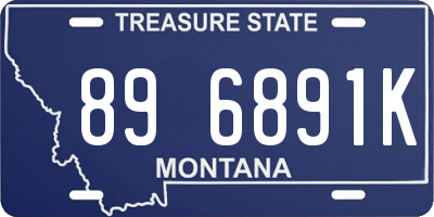 MT license plate 896891K