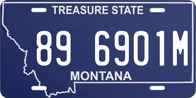 MT license plate 896901M