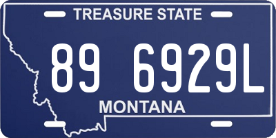 MT license plate 896929L