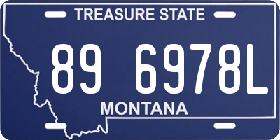 MT license plate 896978L