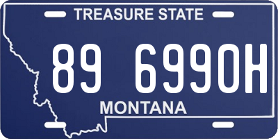 MT license plate 896990H