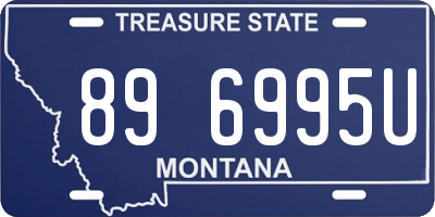 MT license plate 896995U