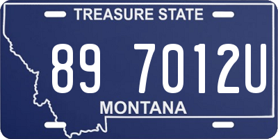 MT license plate 897012U