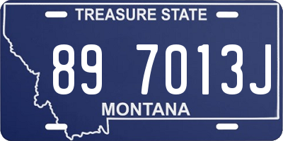 MT license plate 897013J