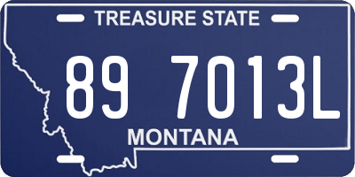 MT license plate 897013L