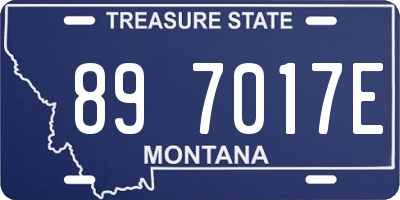 MT license plate 897017E