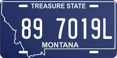 MT license plate 897019L