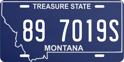 MT license plate 897019S