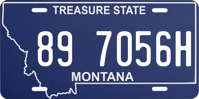 MT license plate 897056H