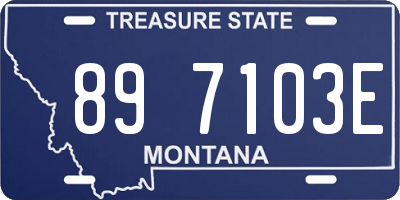 MT license plate 897103E