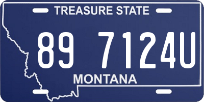 MT license plate 897124U