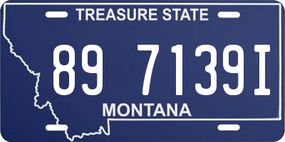 MT license plate 897139I