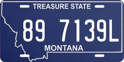 MT license plate 897139L