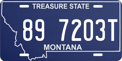 MT license plate 897203T