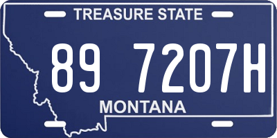 MT license plate 897207H