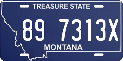 MT license plate 897313X