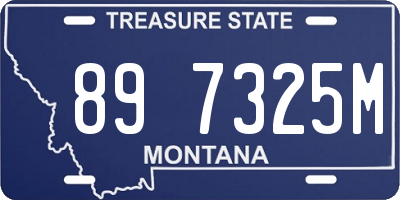 MT license plate 897325M