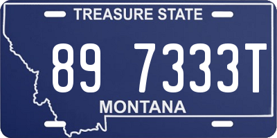 MT license plate 897333T