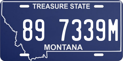 MT license plate 897339M