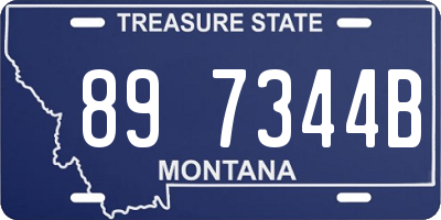 MT license plate 897344B