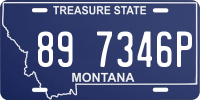 MT license plate 897346P