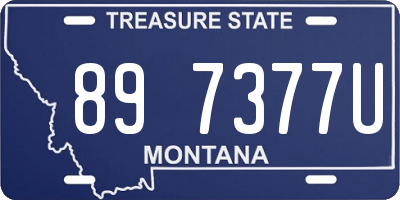 MT license plate 897377U