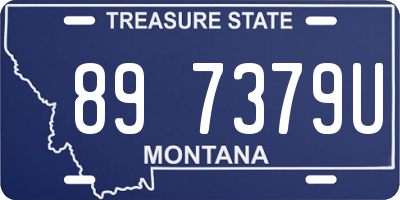 MT license plate 897379U