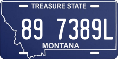 MT license plate 897389L