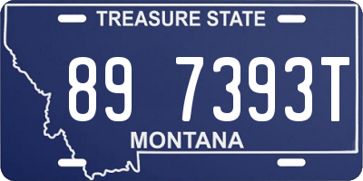 MT license plate 897393T