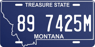 MT license plate 897425M