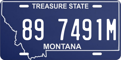 MT license plate 897491M