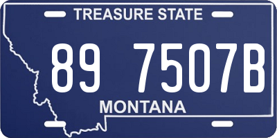 MT license plate 897507B