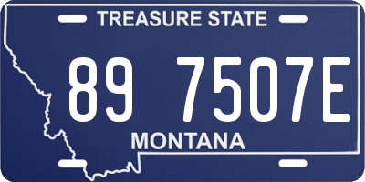MT license plate 897507E