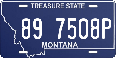 MT license plate 897508P