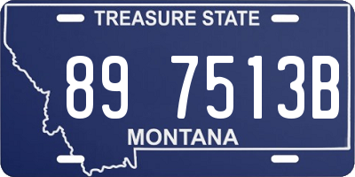MT license plate 897513B