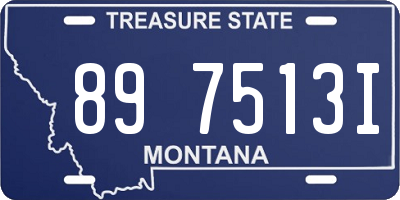MT license plate 897513I
