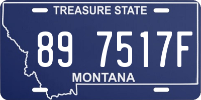 MT license plate 897517F