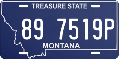 MT license plate 897519P