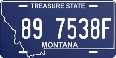 MT license plate 897538F