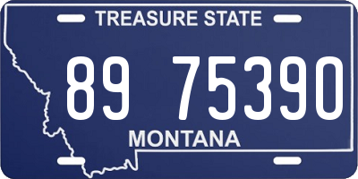 MT license plate 897539O