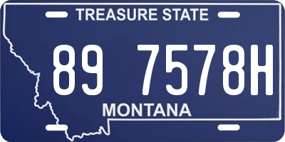 MT license plate 897578H