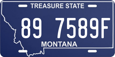 MT license plate 897589F